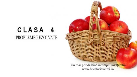 probleme rezolvare clasa 4-a